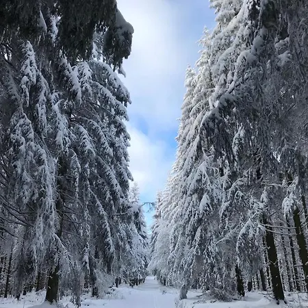 Wolkenplatz Apartment Winterberg