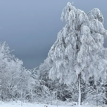 Apartment Wolkenplatz *