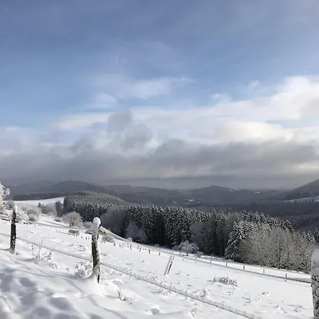 Wolkenplatz 아파트 빈터베르크