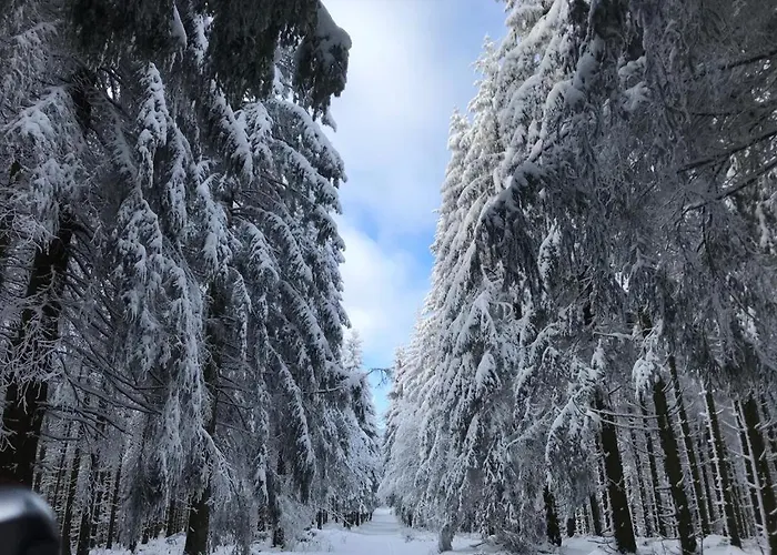 Wolkenplatz Apartament Winterberg